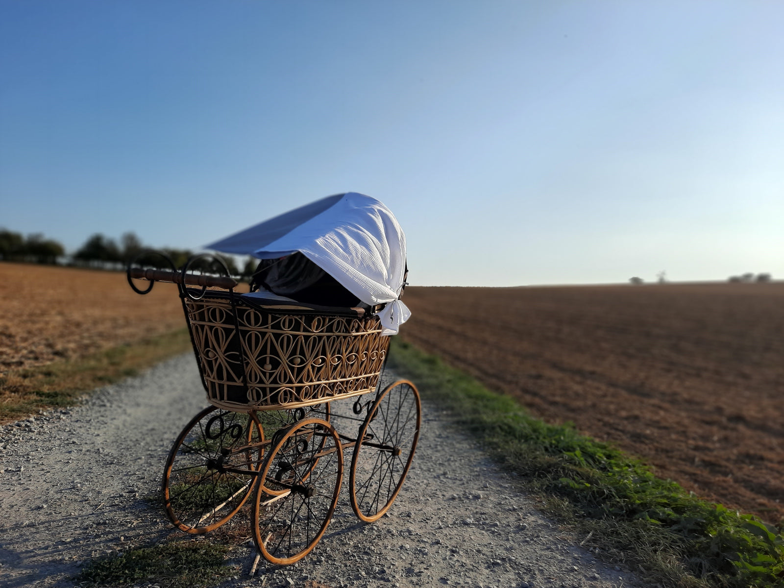 LEVILY Stroller Sunshade on antique stroller